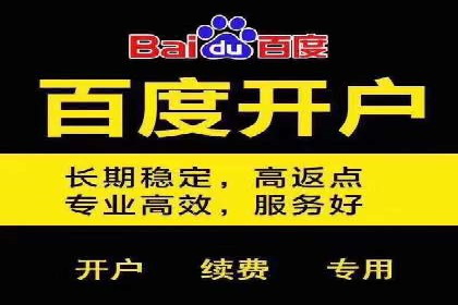 行业领先企业的sem账户竞价运营策略