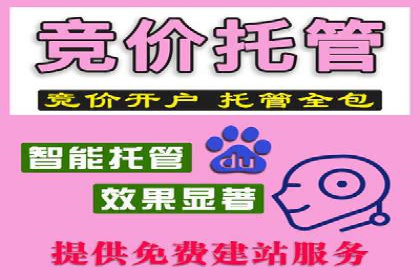 百度搜索推广实战经验：经典案例剖析